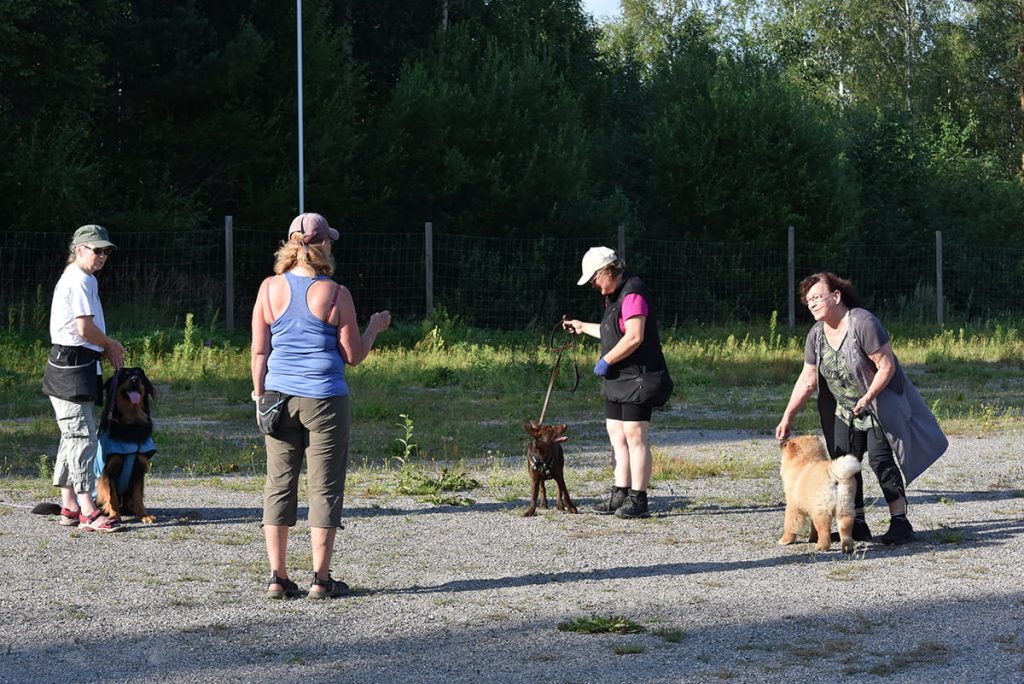 Pentukurssilaisia Janet Tervashongan ohjauksessa kesällä 2025.